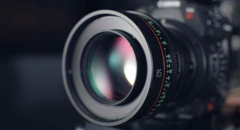 masterstudy_placeholder